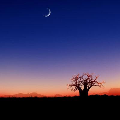 BET9官方APP下载正版app下载