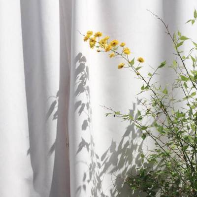 半岛综合APP下载